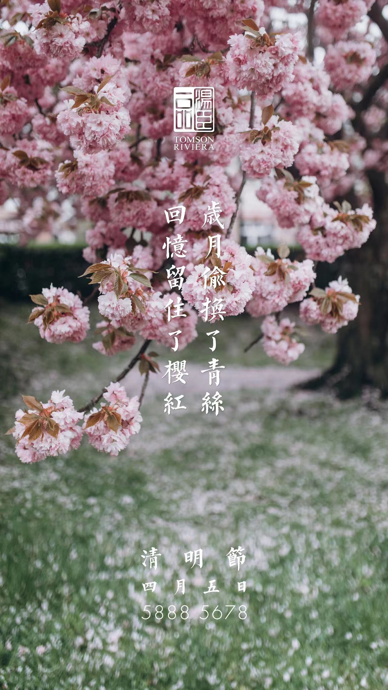 清明节